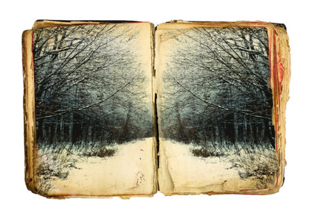 Old book with winter forest on white backgroundの写真素材