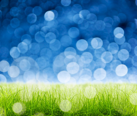 Green grass natural background with selective focusの写真素材