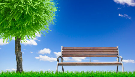 Green grass and tree on sky backgroundの写真素材