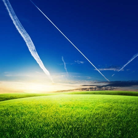 Green field under blue sky. Beauty nature backgroundの写真素材