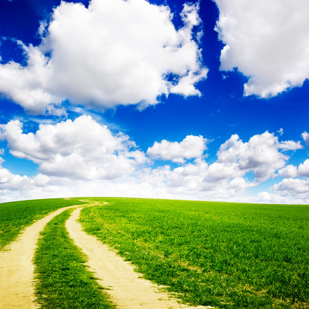 Green field under blue sky. Beauty nature backgroundの写真素材