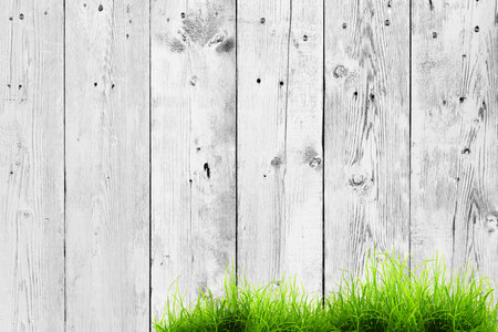 the white wood texture with natural patterns backgroundの写真素材