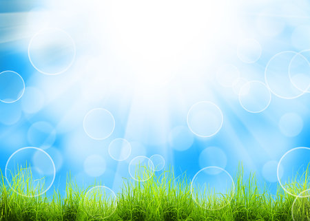 Green grass natural background with selective focusの写真素材