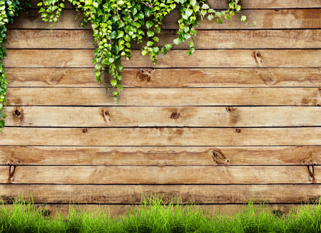 Fresh spring green grass and leaf plant over wood fence backgroundの写真素材