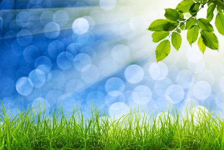 Green grass natural background with selective focusの写真素材