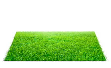 Square of green grass field over white background