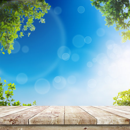 Fresh spring green leaves with blue bokeh and sunlight and wood floor. Natural background Fresh spring green leaves with blue bokeh and sunlight and wood floor. Natural background