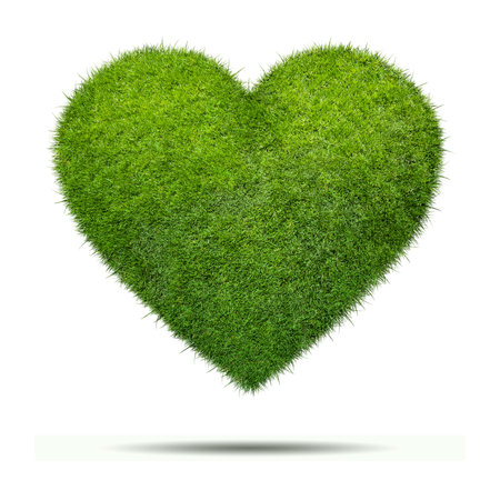 Heart shape of green grass isolated onwhite backgroundの写真素材