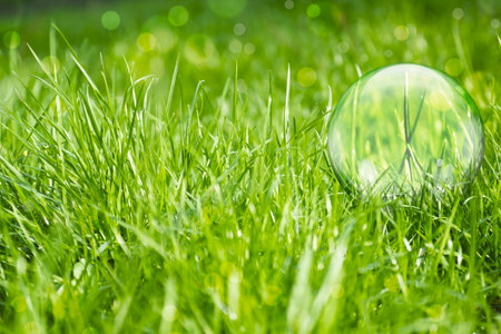Environment concept, glass globe in the grass. backgroundの写真素材