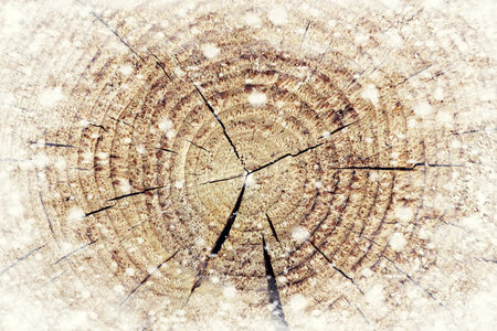 The brown wood texture with snow flakes over it. Winter backgroundの写真素材