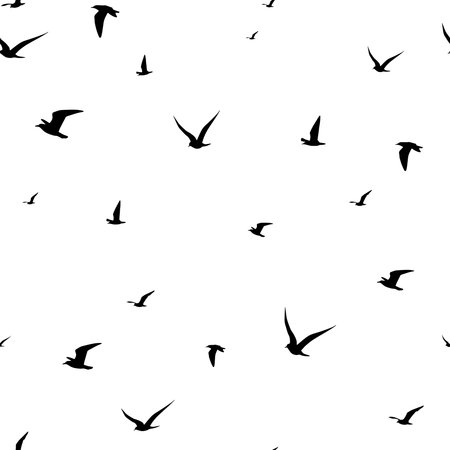 Seagull silhouette seamless pattern backgroundの写真素材