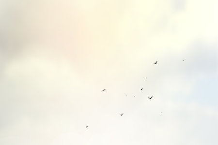 Abstract blured cloud sky and flying sea gullの写真素材