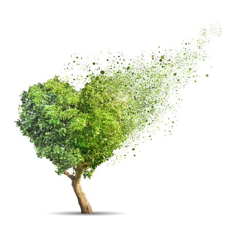 Green tree shaped in heart disintegrate isolated over white backgroundの写真素材