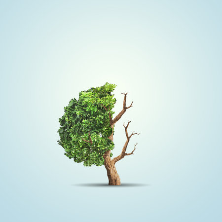 The concept image of ecology. Half alive and half dead tree. Environment conceptの写真素材