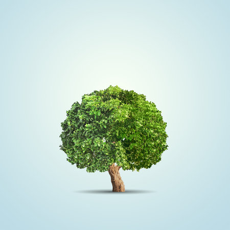 Green tree isolated on blue backgroundの写真素材