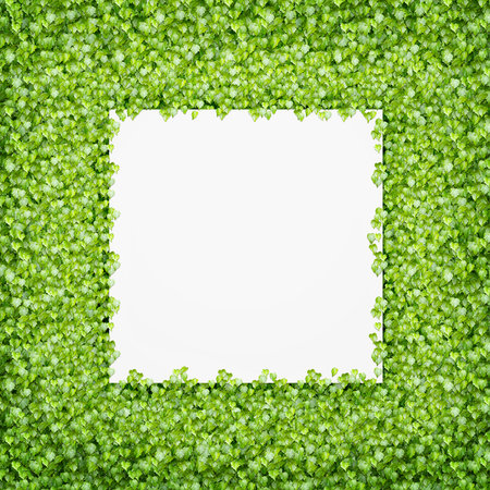 Blank paper over green leaves background. Space for textの写真素材