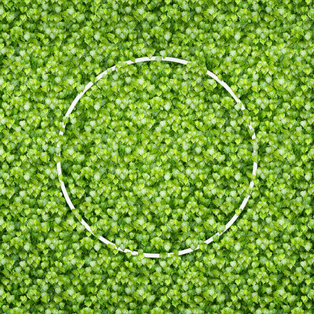 Blank circle paper frame over green leaves background. Space for textの写真素材