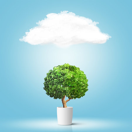 Tree on isolated over blue background. Concept imageの写真素材