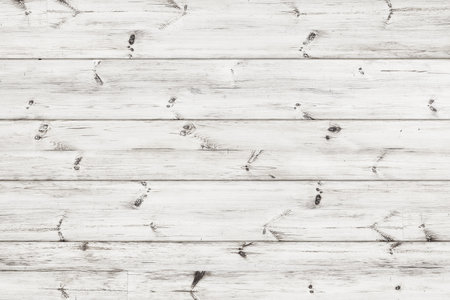 The light wood texture with natural patterns backgroundの写真素材