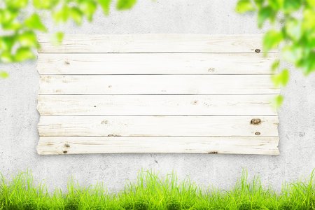 Wooden board on concrete wall and green leaves. Spring backgroundの写真素材