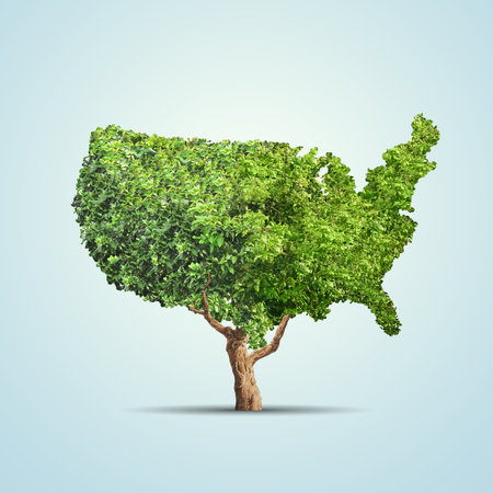 Tree grows up in USA shape over blue background. Concept business imageの写真素材