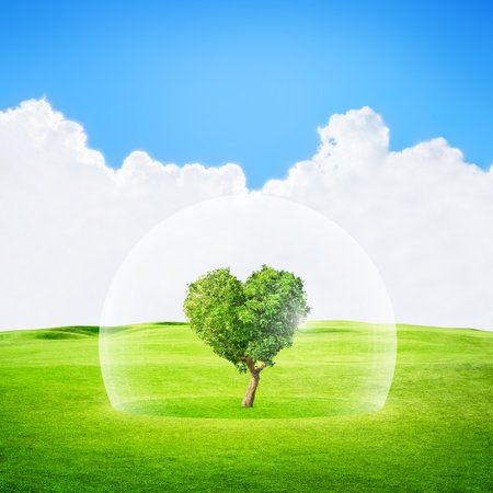 Heart shaped tree under glass protection. Concept abstract imageの写真素材