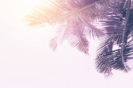 Pink palm leaves is over white backgroundの写真素材