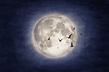 Night cloud sky with moon and stars. Beauty nature background.の写真素材