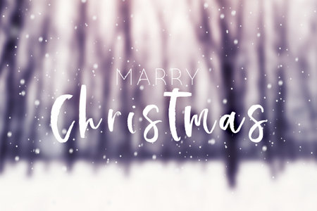 Winter snow covered forest. Beauty nature background. Christmas holiday cardの写真素材