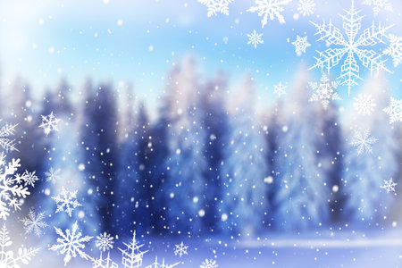 Blured winter snow covered forest. Beauty nature background. Christmas holiday cardの写真素材