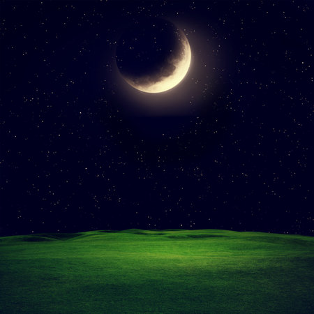 Half moon over field.の写真素材