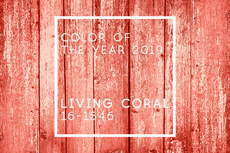 Living coral wood abstract background. Color of the year 2019 living coral 16-1546の写真素材