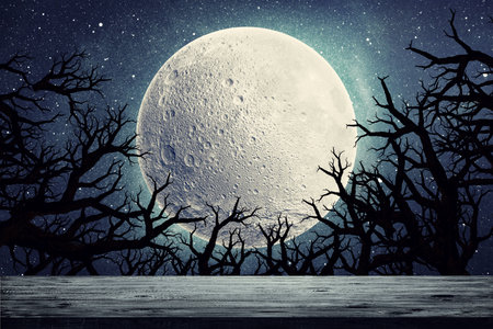Moon over dry tree silhouette.の写真素材