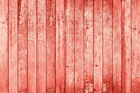 Living coral wood abstract background. Color of the year 2019 living coral 16-1546の写真素材