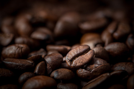 Detail of some coffee beansの写真素材