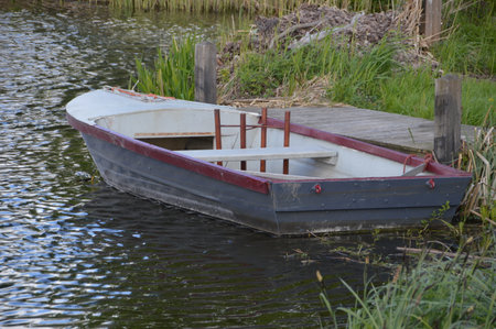 Rowing Boat Along The Riverの写真素材