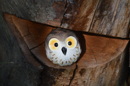 Funny Owl Figureの写真素材