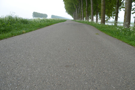 Low View Angle On The Roadの写真素材