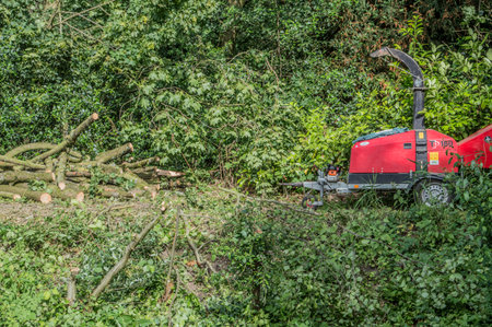 Tree Shredder At Amsterdam The Netherlands 2018のeditorial素材