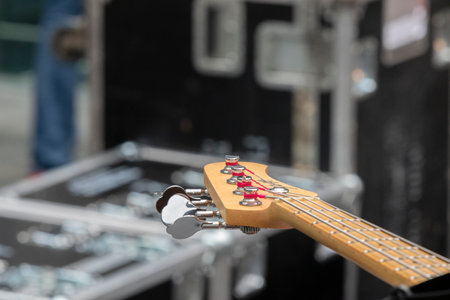 Close Up Of A Bass Neck At Amsterdam The Netherlands 2019