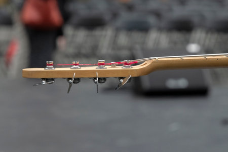 Close Up Of A Bass Neck At Amsterdam The Netherlands 2019