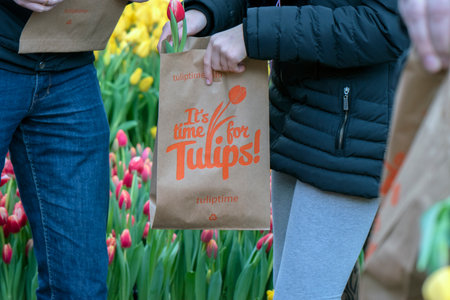 Bag With Tulips At The National Tulip Day At Amsterdam The Netherlands 2020