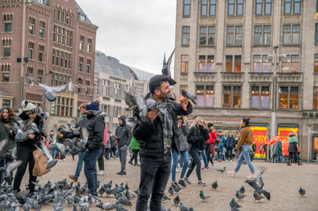 Playing With Pigeons On The Dam Square Amsterdam The Netherlands 2019
