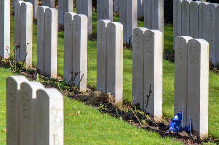 Commonwealth War Graves At The Nieuwe Ooster Graveyard At Amsterdam The Netherlands 2019のeditorial素材