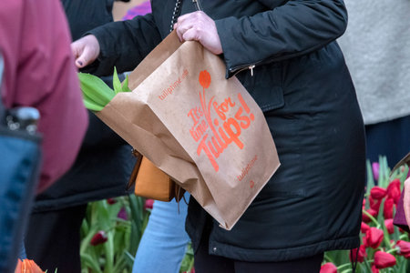 Bag With Tulips At The National Tulip Day At Amsterdam The Netherlands 2020のeditorial素材