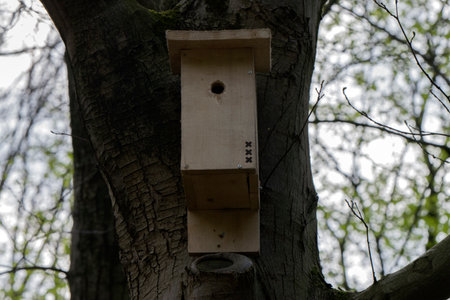 Bird House At The Amstelpark Park Amsterdam The Netherlands 2020のeditorial素材