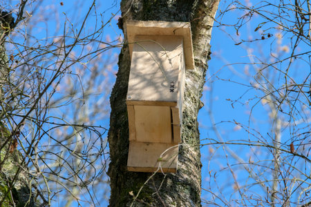 Bird House At The Amstelpark Park Amsterdam The Netherlands 2020