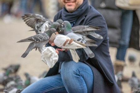 Holding Pigeons In Your Hands On The Dam Square At Amsterdam The Netherlands 2019のeditorial素材