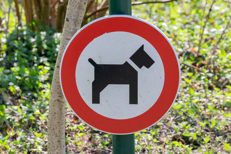 Forbidden For Dogs Sign At Amstelpark Park Amsterdam The Netherlands 2020のeditorial素材