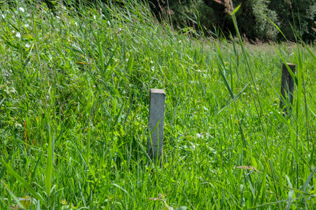Graves At The Jewish Cemetery Zeeburg At Amsterdam The Netherlands 22-6-2020のeditorial素材